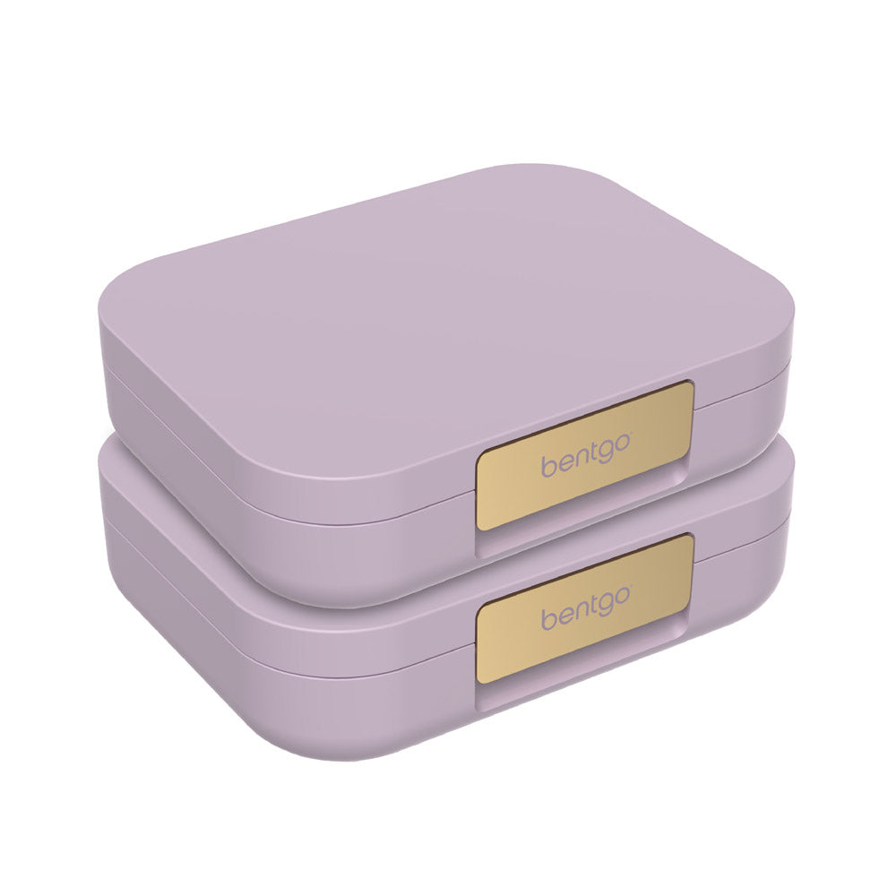 Bentgo Modern Lunch Box (2 Pack) - Orchid